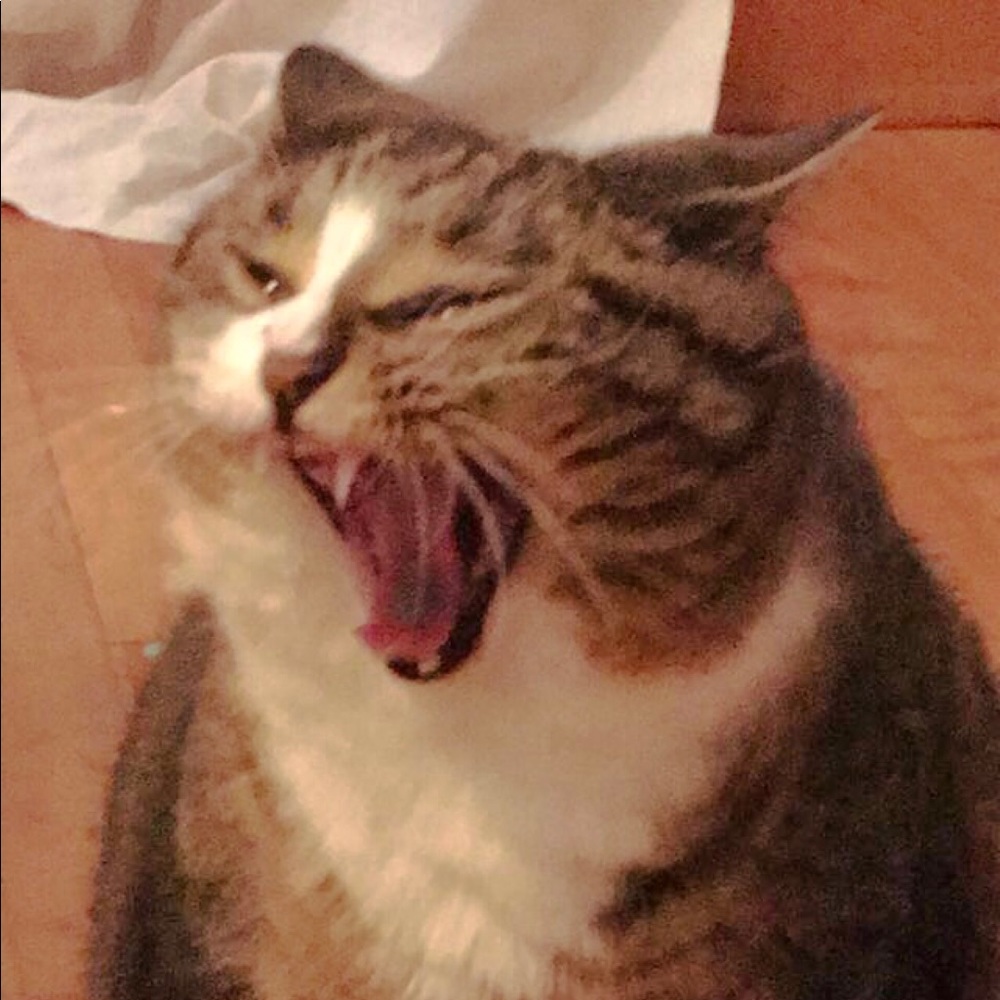 Meet your Posher, Sommerleigh